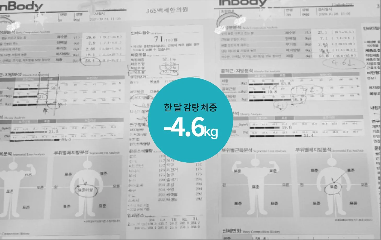 매일감비환 다이어트 실제 감량 후기 2